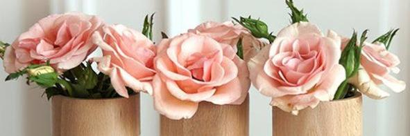 Gingincm's profile banner image
