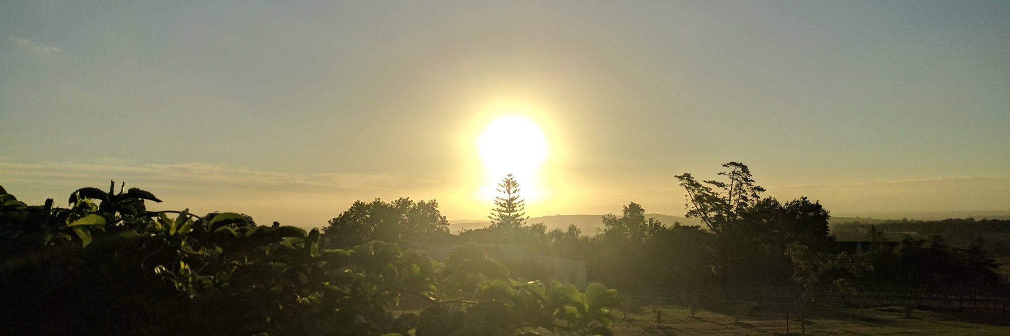 FromAnEgg's profile banner image
