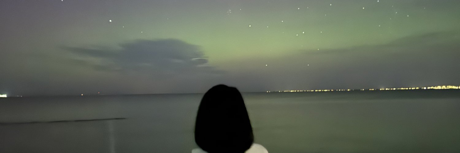 bravelaii's profile banner image