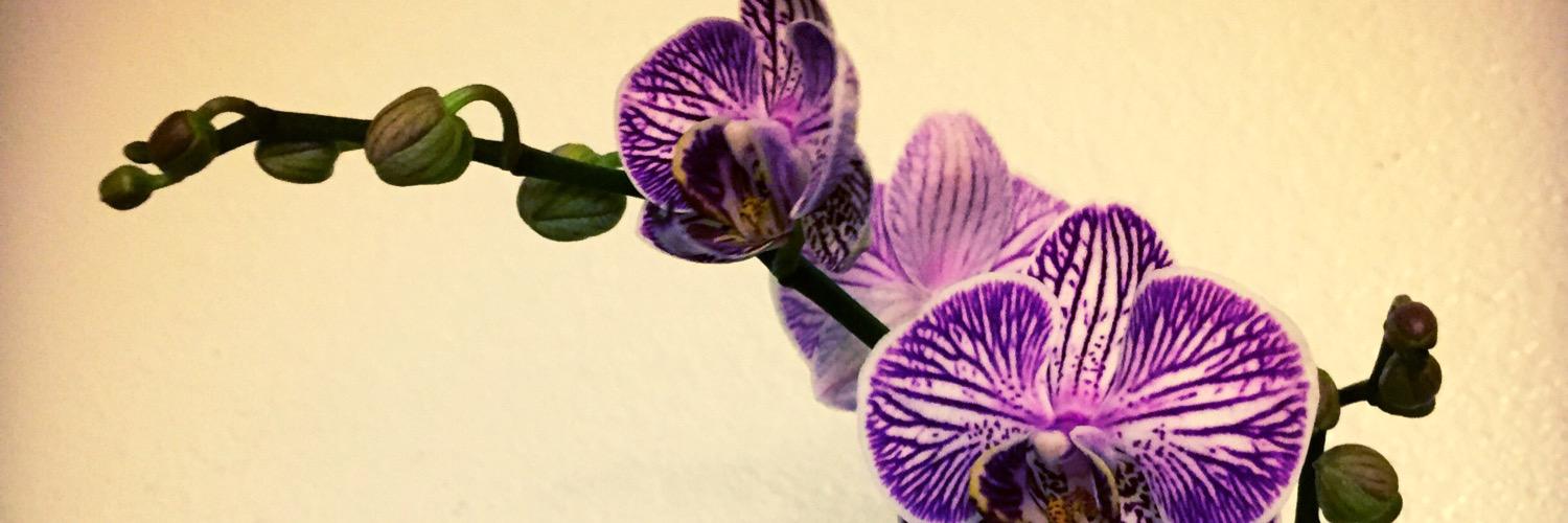 cjoep762's profile banner image