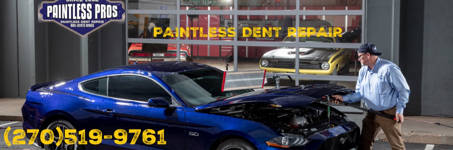 paintlesspro's profile banner image