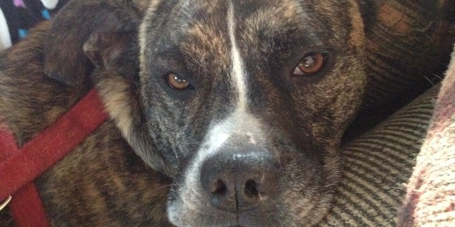 Charles Rairdon Jr. banner