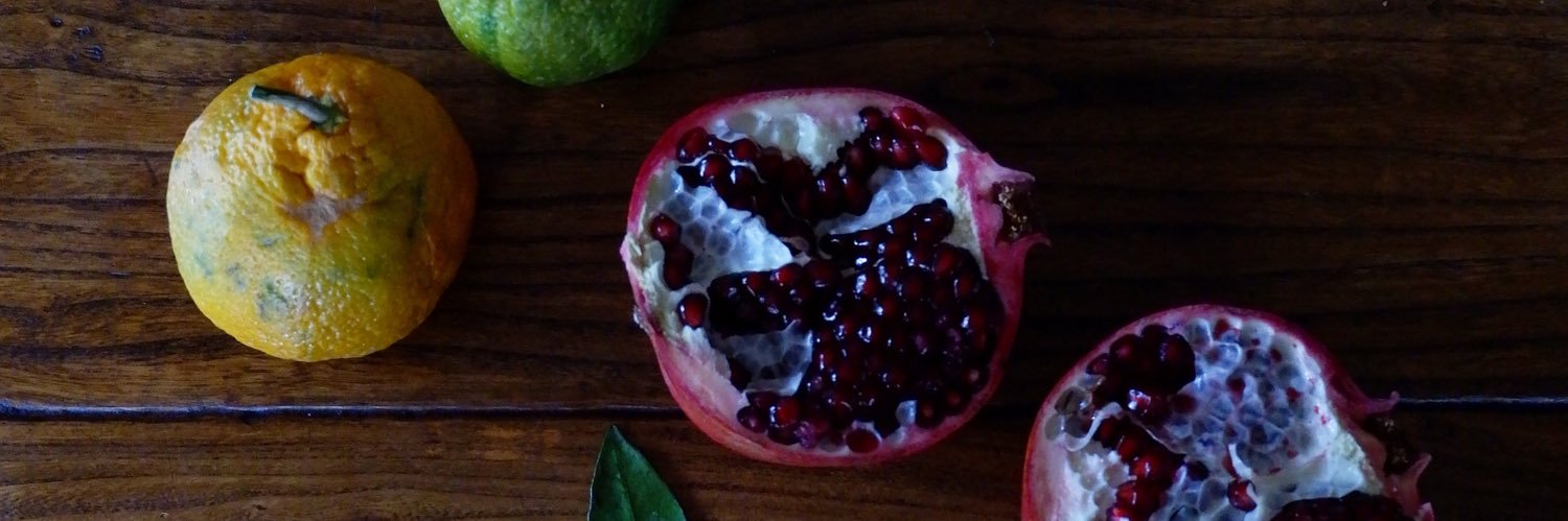 christine alcalay banner