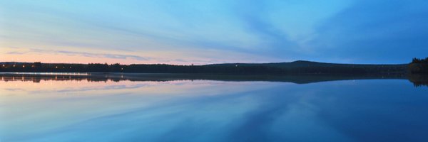 timonent Profile Banner