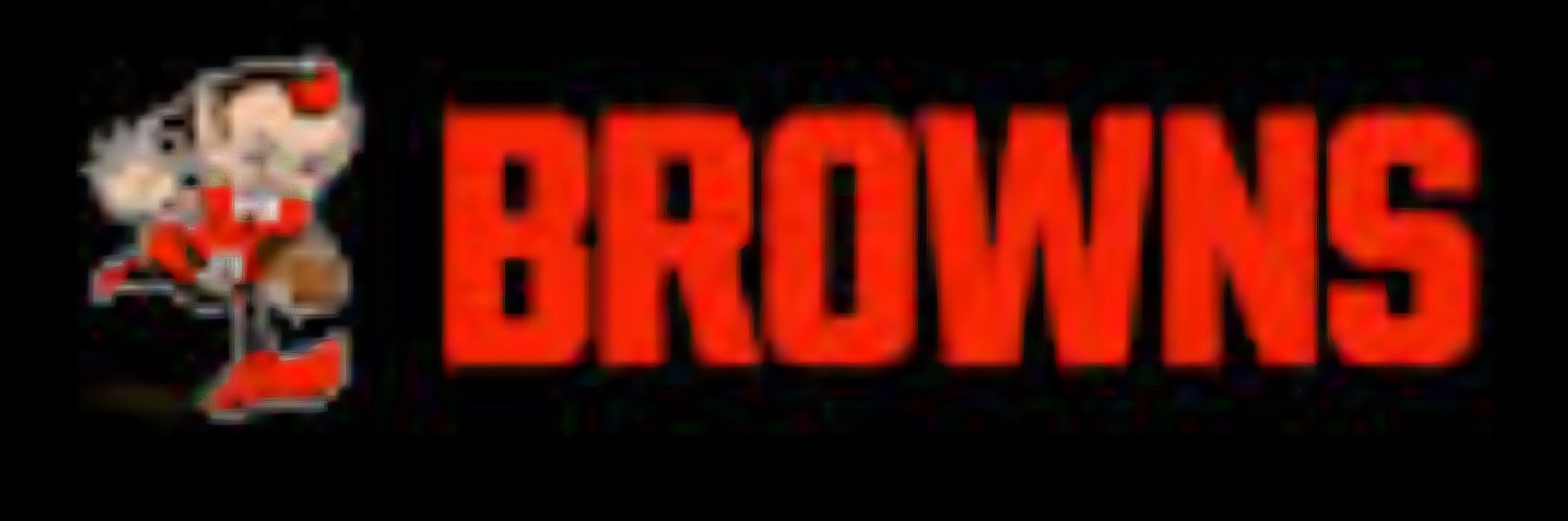 shannon banner