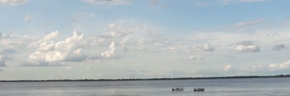 thiagofish's profile banner image