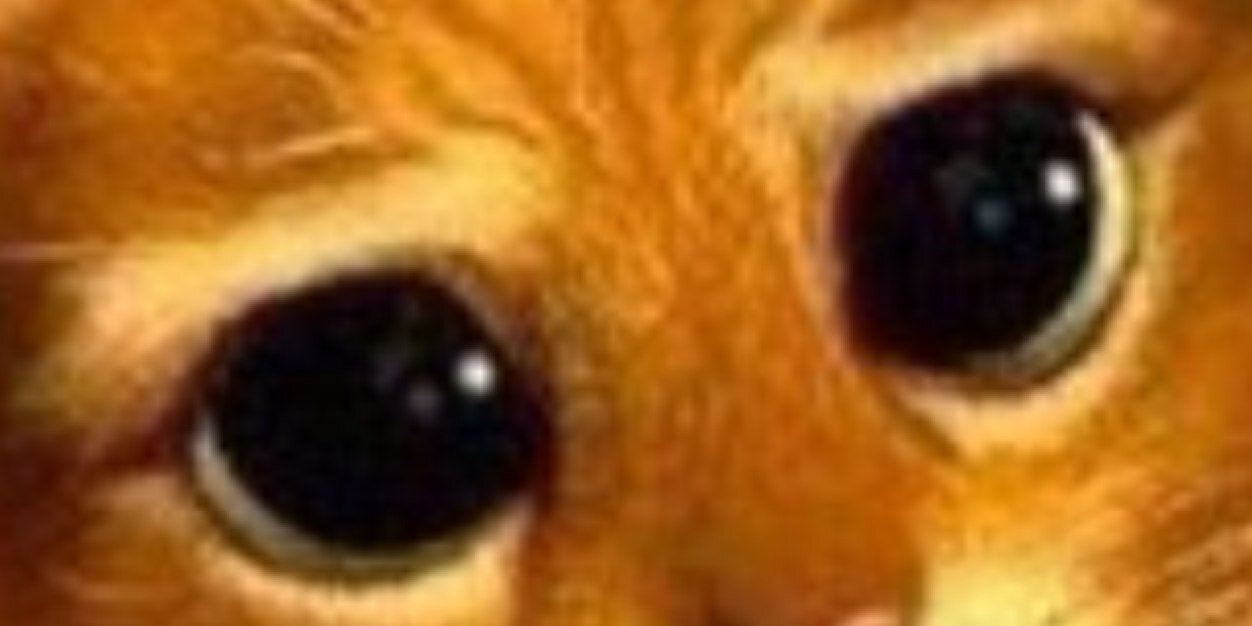 BeauDoiron's profile banner image