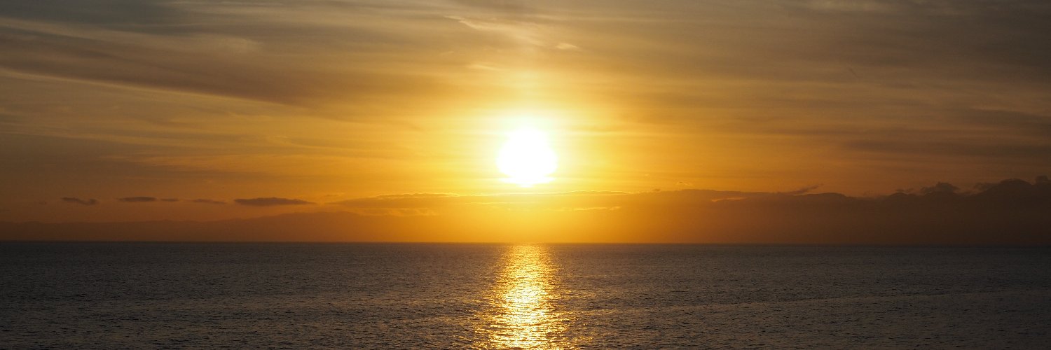gelerpus's profile banner image
