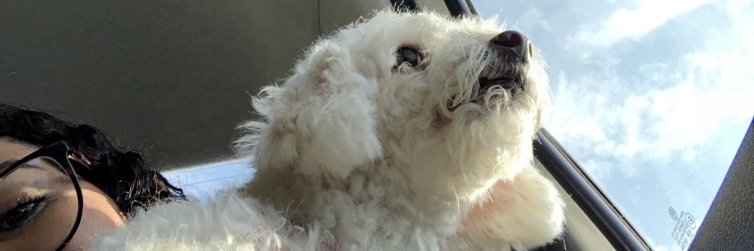heykaths's profile banner image