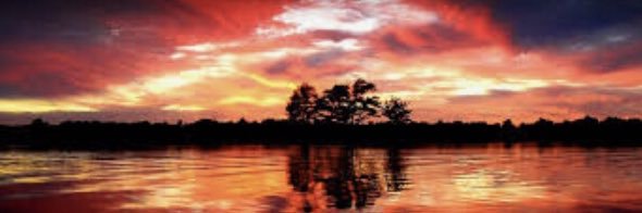 jakefox_6's profile banner image