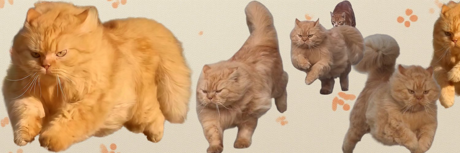 slip_streamr banner