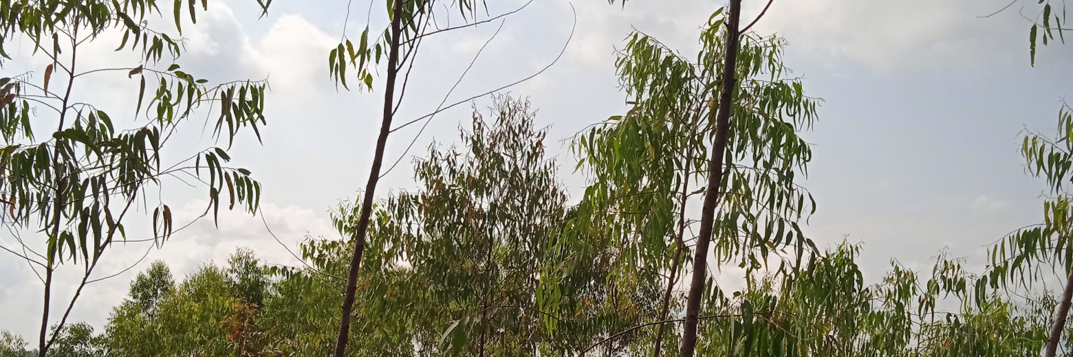 IAMVickq's profile banner image