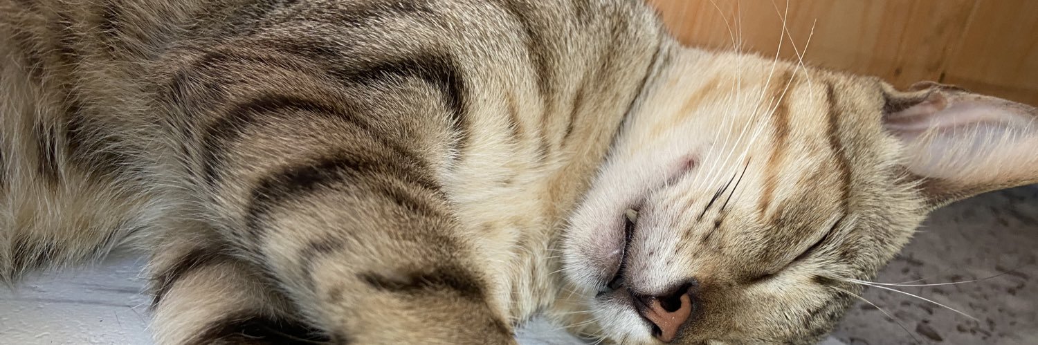 onecesario's profile banner image