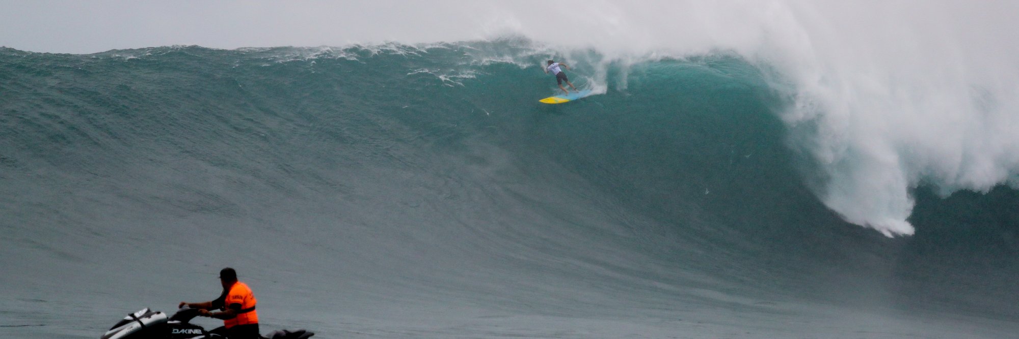 Pablo Zanocchi banner