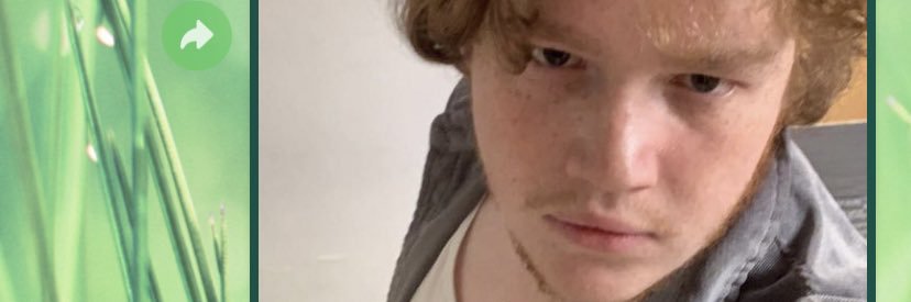 will whittington banner
