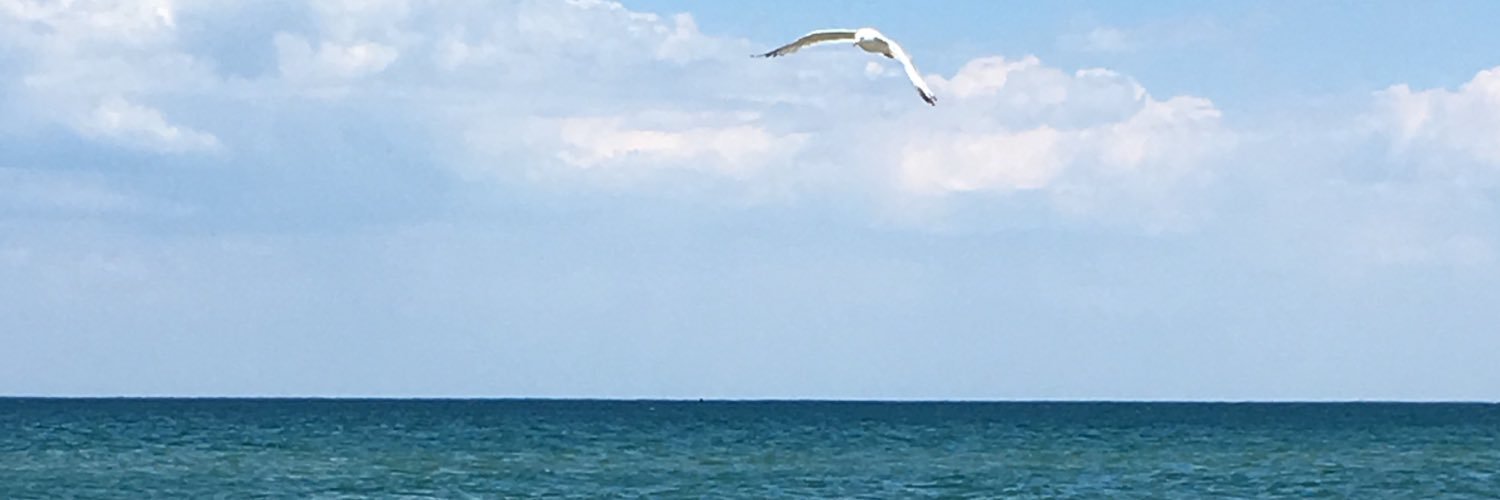 pitajuarez24's profile banner image