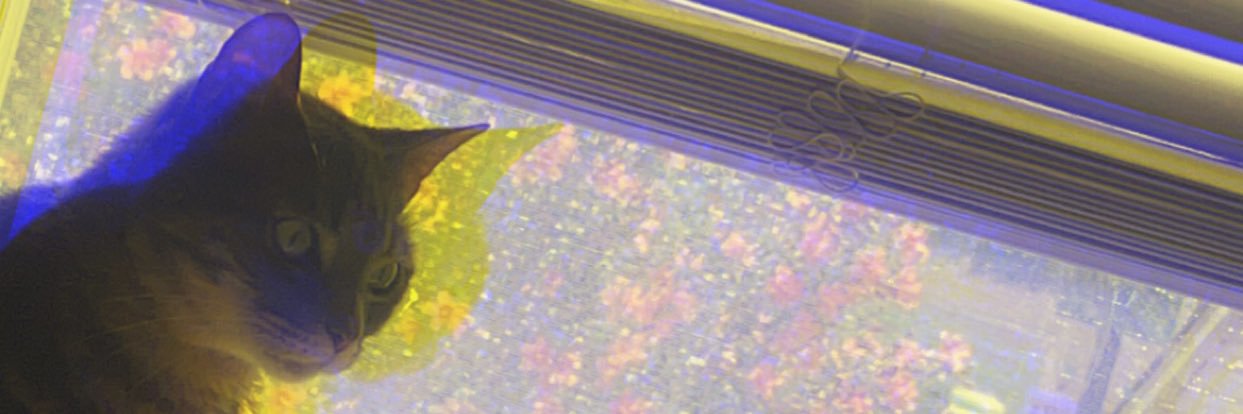 HelynneS's profile banner image