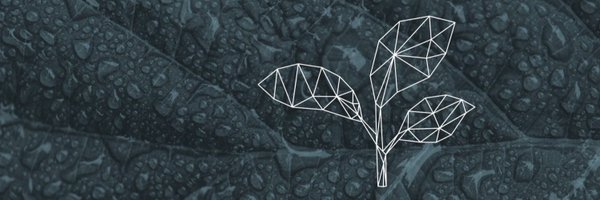 CMVeys Profile Banner