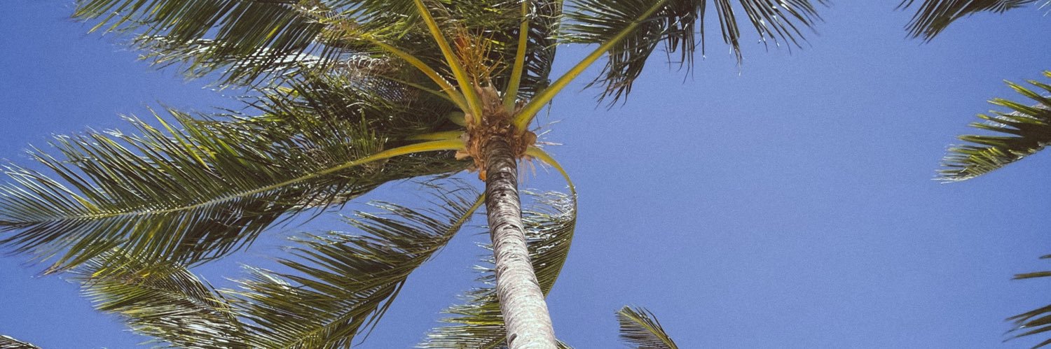chinnieroble's profile banner image