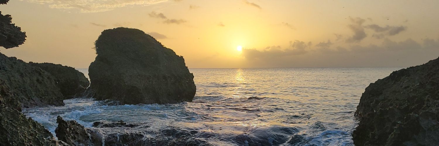 Lynnzown's profile banner image