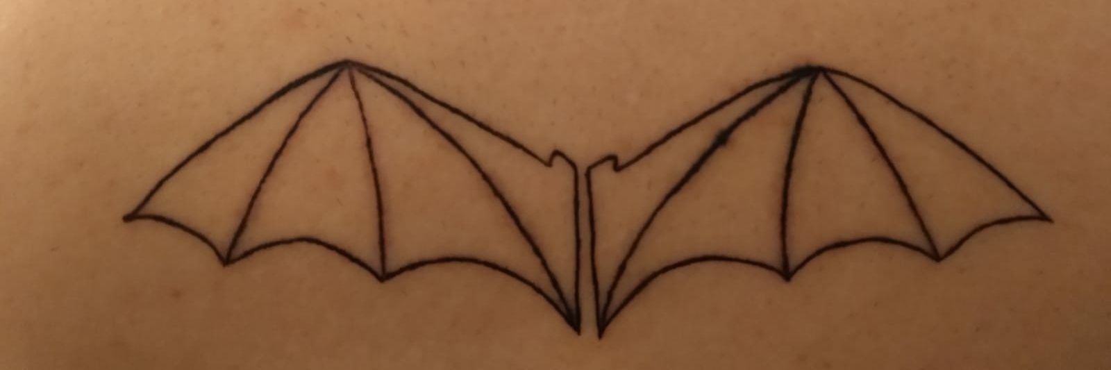 tararrilo's profile banner image
