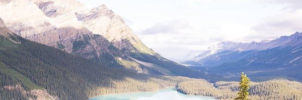 CCovey15 Profile Banner