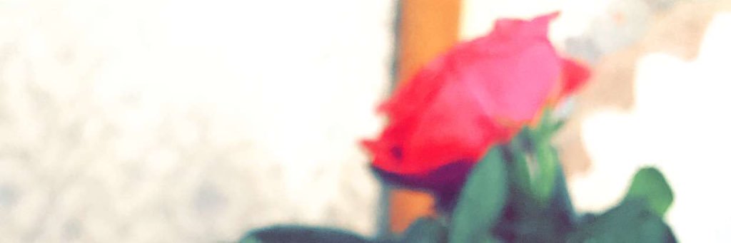 Marwa97____'s profile banner image