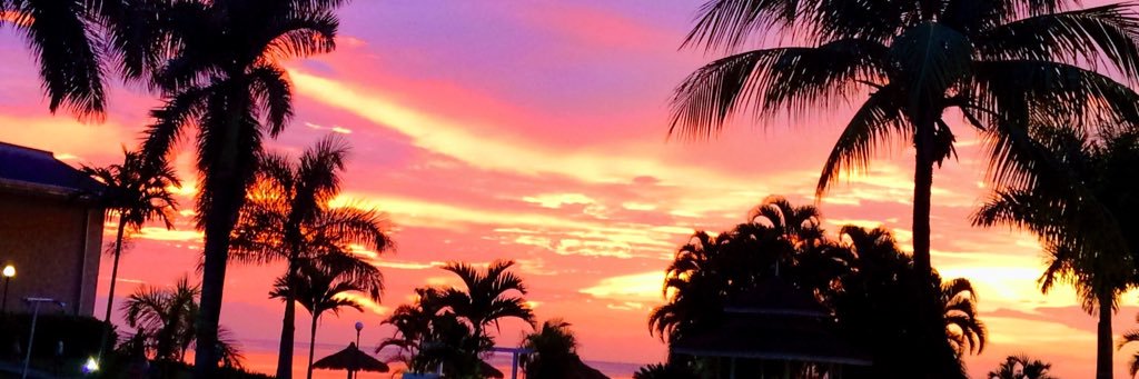 nickkib23's profile banner image