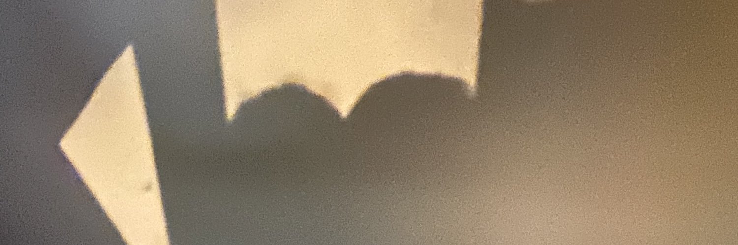 twixycorrine's profile banner image