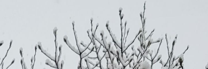 loriesanders's profile banner image