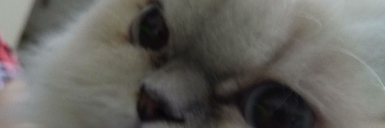 LordSh_'s profile banner image