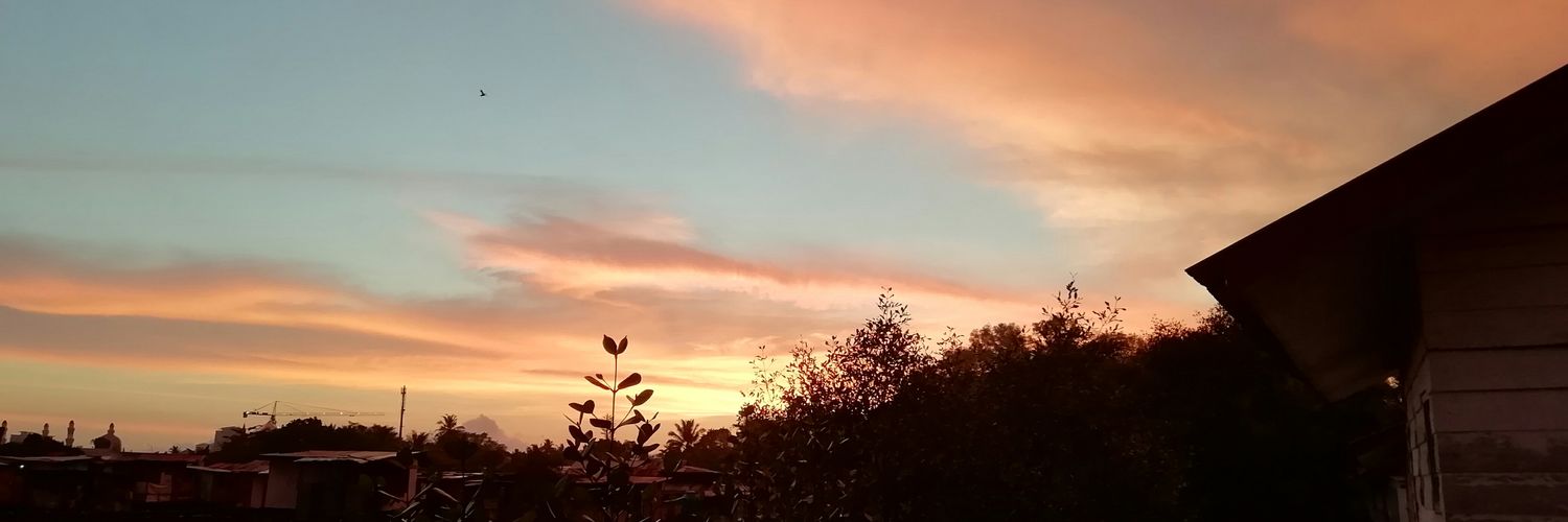 Lyz5432's profile banner image
