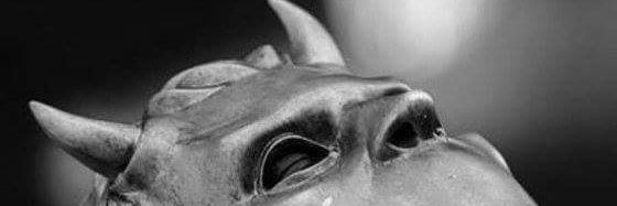 DaMock81's profile banner image