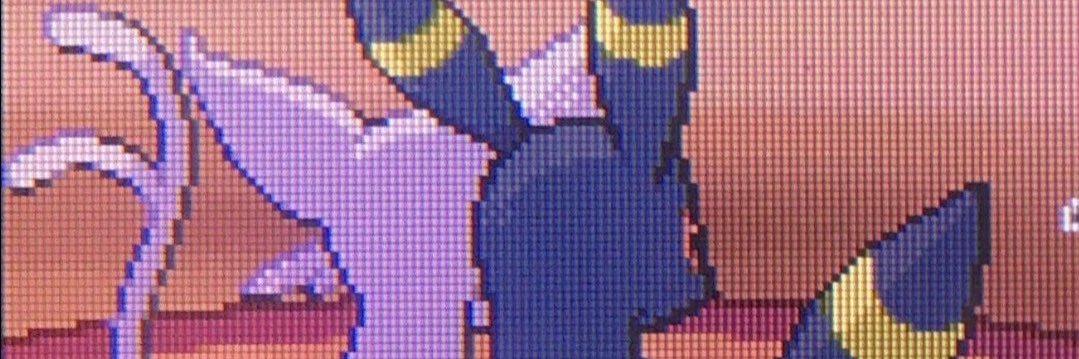 Alma banner