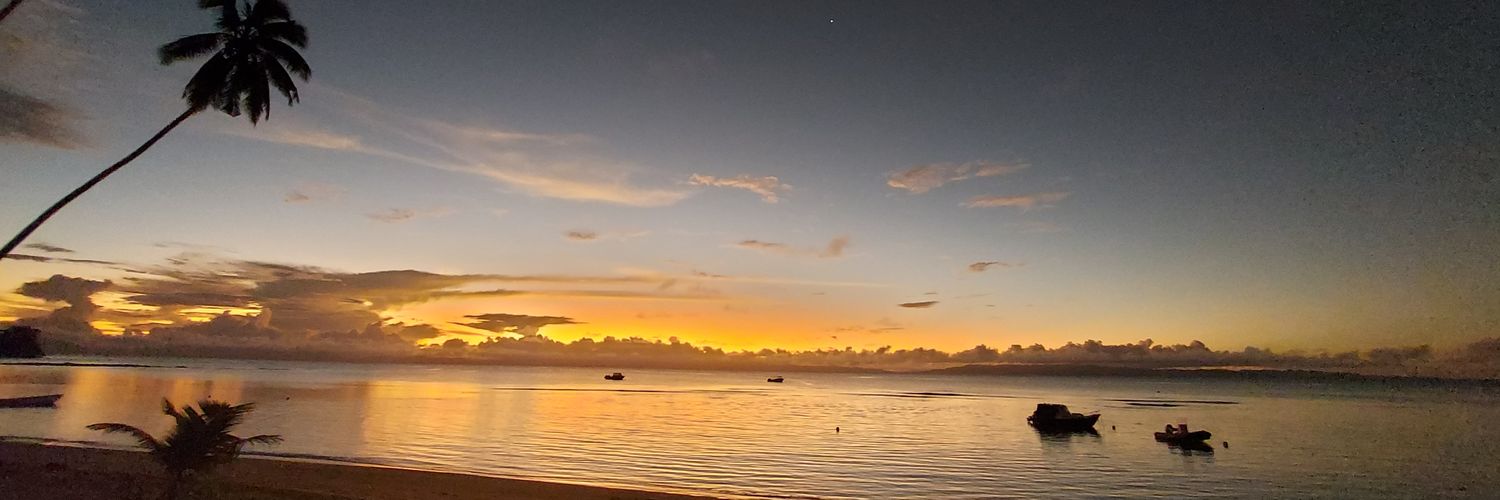 wilcey's profile banner image