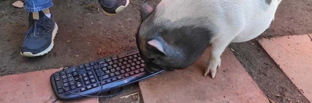 Oriol Martínez banner