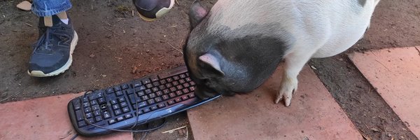 oriolmrt Profile Banner