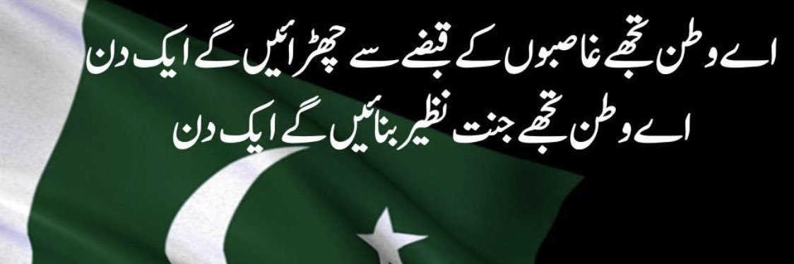 ZulfiiAli's profile banner image