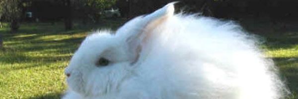 FTC4432's profile banner image