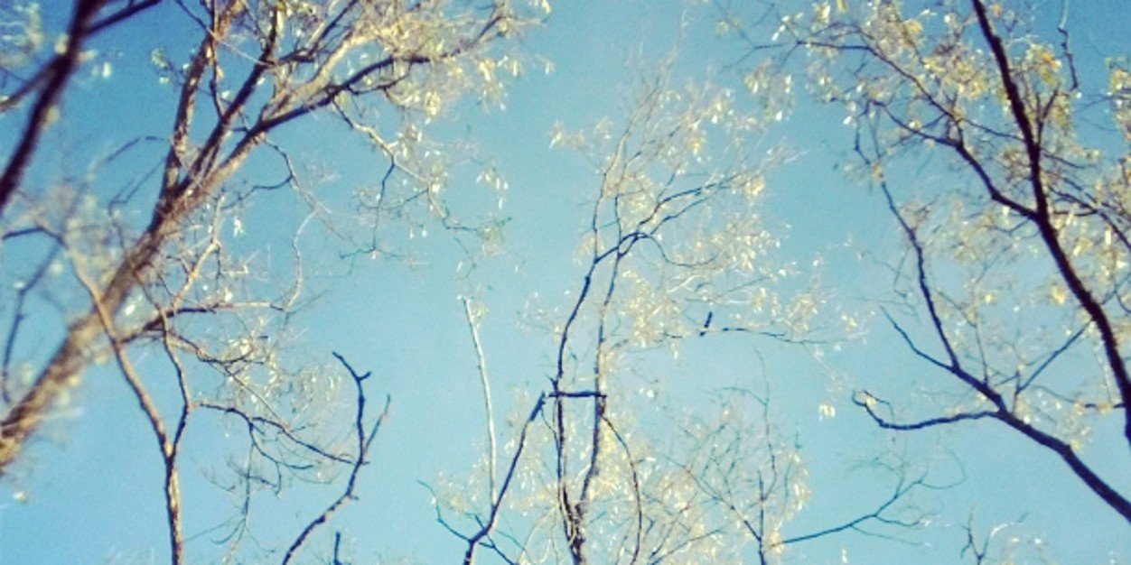 MaxFalenius's profile banner image