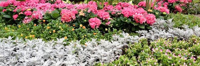 chenc41181's profile banner image