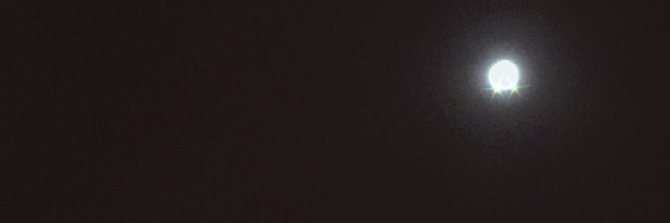 raenella's profile banner image