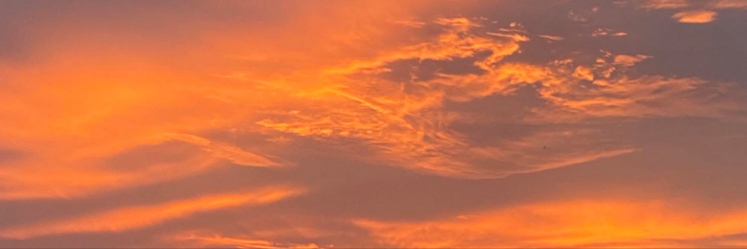 reevermore_'s profile banner image