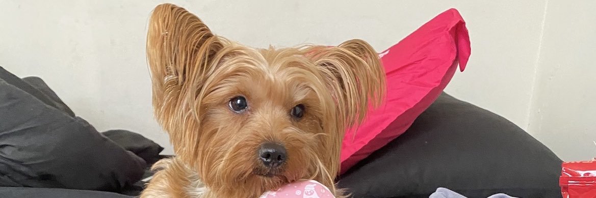 Lady of leisure banner