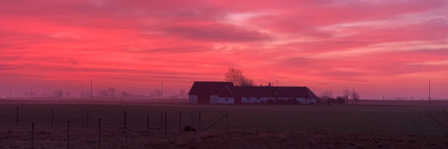 MagnusBorrby's profile banner image