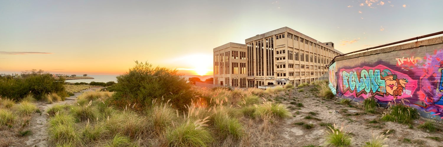 Rosemary Lynch banner