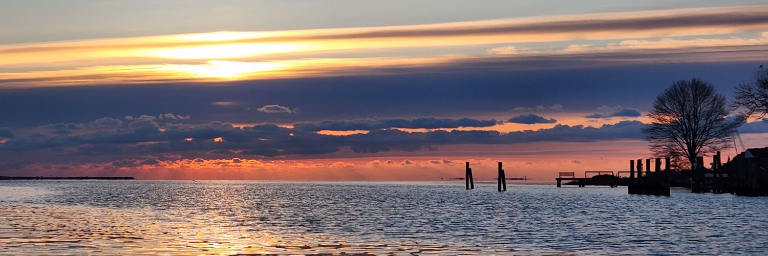 TheBESTdad401's profile banner image