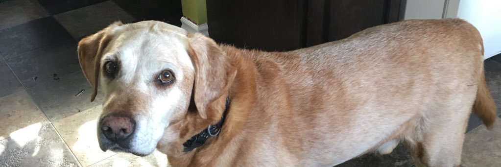 tuckie321's profile banner image