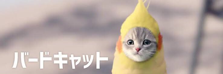 iz_0ppa1's profile banner image