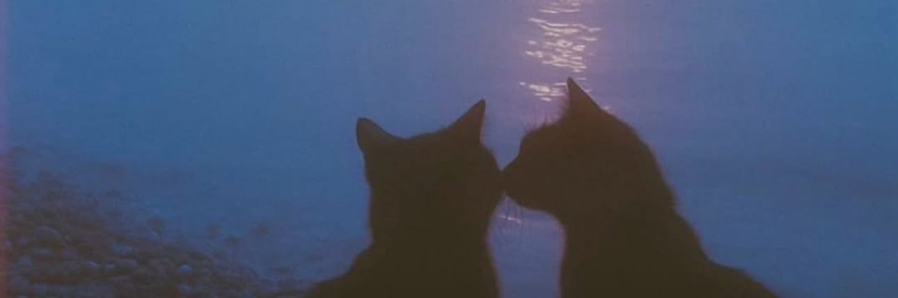 christinklee's profile banner image